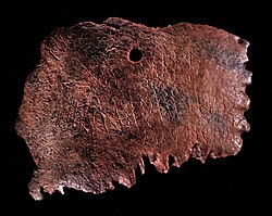 Photograph of the fragment, showing bored hole and inscription.