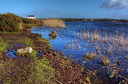 Llyn Maelog