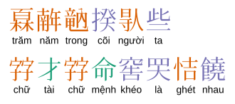 The characters ｢𤾓𢆥𥪞𡎝𠊛些．𡨸才𡨸命窖𱺵恄𠑬𠑬．｣ corresponding to "Trăm năm trong cõi người ta. Chữ Tài chữ Mệnh khéo là ghét nhau." in the Vietnamese alphabet