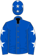 Royal blue, white stars on sleeves and cap