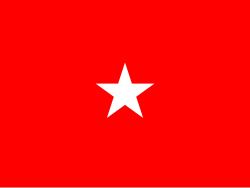 Flag of a United States Army brigadier general
