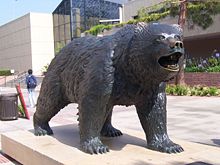 The statue of the UCLA Bruin, on Bruin Walk. The statue was designed by Billy Fitzgerald.[111]
