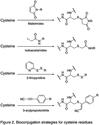 Figure 2. Bioconjugation strategies for cysteine residues.jpg