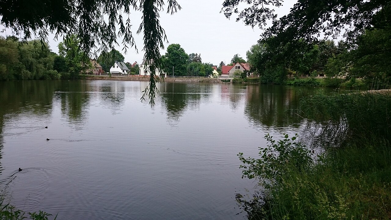 Oberfürstenteich Geithain.JPG
