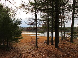 Pond