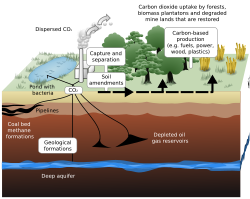 Image depicts how humans sequester carbon from the atmosphere