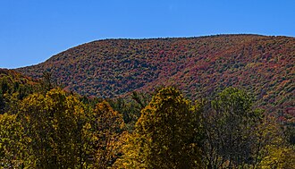 A general level mountain summit, covered in woods that show autumn color, seen from some distance below with some trees in the foreground, beneath a clear blue sky.