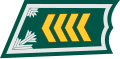 Översergeant (Finnish: Ylikersantti) (Finnish Army)[20]