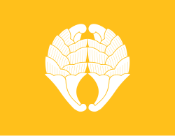 Flag of Saga Domain