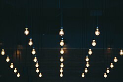 Example of contemporary Edison-style light bulbs installed in the ceiling of the room.