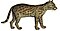 Ocelot