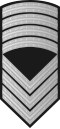 Sersjantmajor (Norwegian Army)[44]