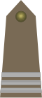 Starszy kapral (Polish Land Forces)[15]