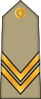 Sergent chef (Arabic: رقيب أول, romanized: Raqib awwal) (Algerian Land Forces)[2]