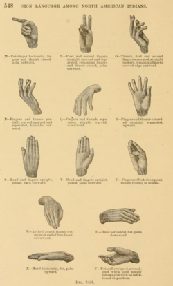 Types of hand positions in sign language. Positions M through Y. M: Forefinger horizontal, fingers and thumb closed, palm outward. N: First and second fingers straight upward and separated, remaining fingers and thumb closed, palm outward. 0: Thumb, first and second fingers separated, straight upward, remaining fingers curved edge outward. P: Fingers and thumb partially curved upward and separated, knuckles outward. Q: Fingers and thumb, separated, slightly curved, downward. R: Fingers and thumb extended straight, separated, upward. S: Hand and fingers upright, joined, back outward. T: Hand and fingers upright, joined, palm outward. U: Fingers collected to a point, thumb resting in middle. V: Arched, joined, thumb resting near end of forefinger, downward. X: Hand horizontal, flat, palm upward. W: Hand horizontal, flat, palm downward. Y: Naturally relaxed, normal; used when hand simply follows arm with no intentional disposition.