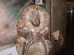 The skekAyuk puppet used in The Dark Crystal on display at the National Museum of American History