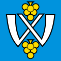 Flag of Walperswil