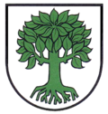 Coat of arms of Bubsheim