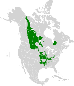 Map of North America with shading indicating species' distribution in parts of the central United States into parts of Canada