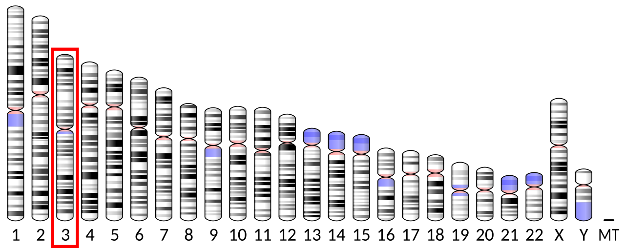Ideogram human chromosome 3.svg