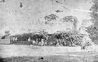 Sugar Plantation, Rubyanna, 1880s