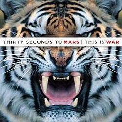 The tiger feels angry closer to the screen logo above his front of the eyes.