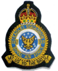 133 Eagle Squadron crest