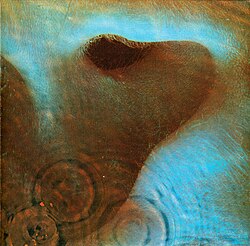 The lower half of a right ear underwater.