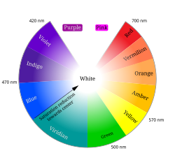 A color circle based on additive combinations of the light spectrum, after Schiffman (1990)