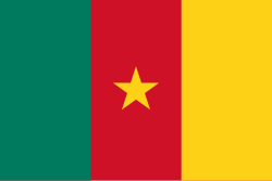 Vertical tricolor (green, red, yellow) with a five-pointed gold star in the center of the red