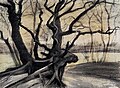 A drawing of gnarled black tree roots