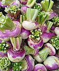 Purple turnips