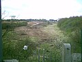 The same landscape some years later