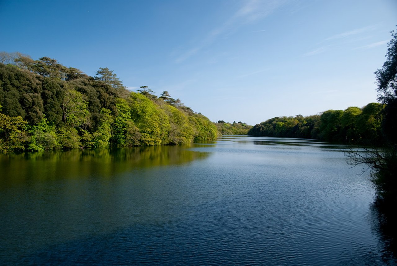 Stackpole Lily Ponds (May 2010).jpg