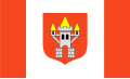 Flag of Śrem