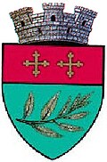 Coat of arms of Salcea