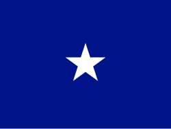 Flag of a United States Air Force brigadier general