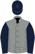 Grey, dark blue sleeves and cap