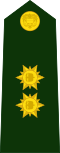 Brigadier general (Colombian National Army)[20]