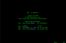 The opening screen of Vim