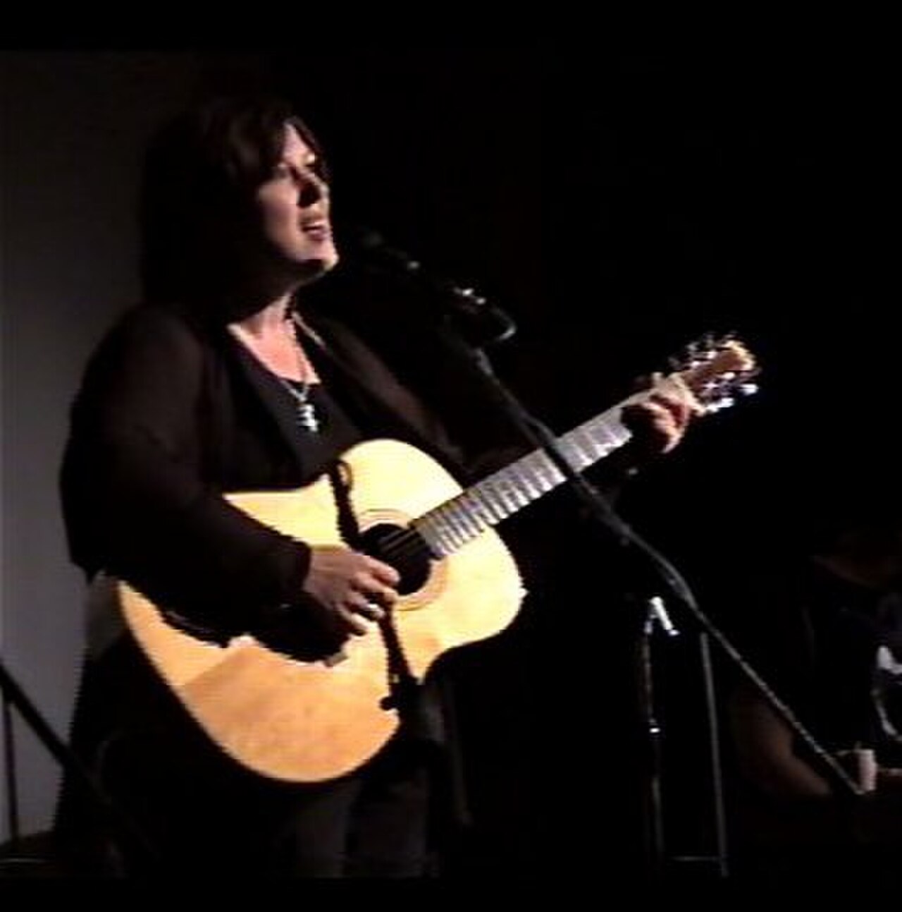 Chris While (musician) on stage in Hobart, Australia, 1997.jpg