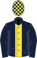 DARK BLUE, yellow panel, check cap