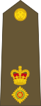 New Zealand Army (Lieutenant Colonel)
