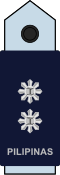 Philippine Air Force (Kalakan/Teniente coronel)