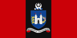 Flag of Drogheda