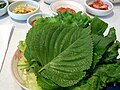 Leaves used for wrapping in ssam dishes