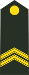 Sergeant-majoor (Royal Netherlands Army)[43]