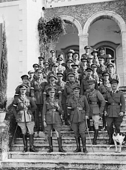 About thirty soldiers and two dogs pose on the steps of a building