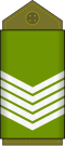 Sergent major (Land Forces of the DR Congo)