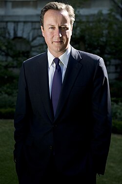 Cameron's official portrait, 2010